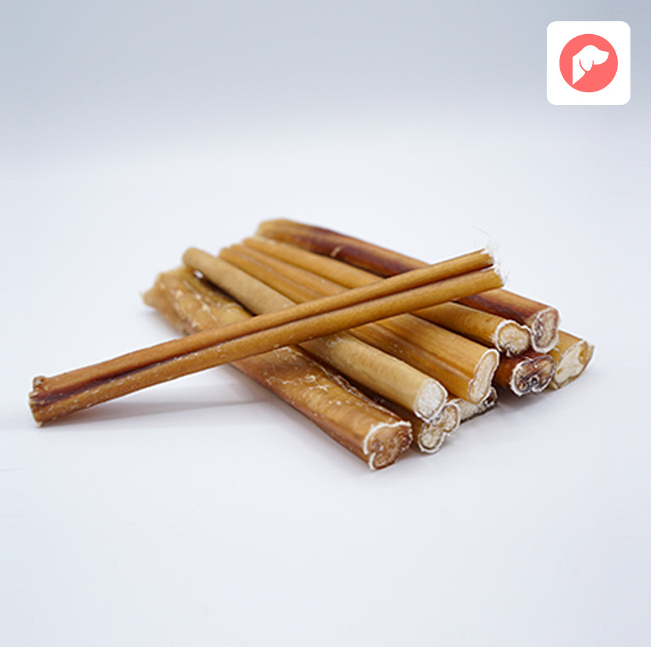 An Introduction to Bully Sticks