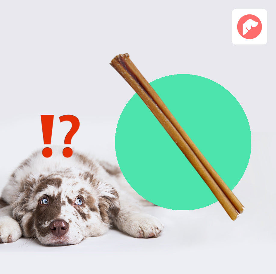 What is a Bully Stick?