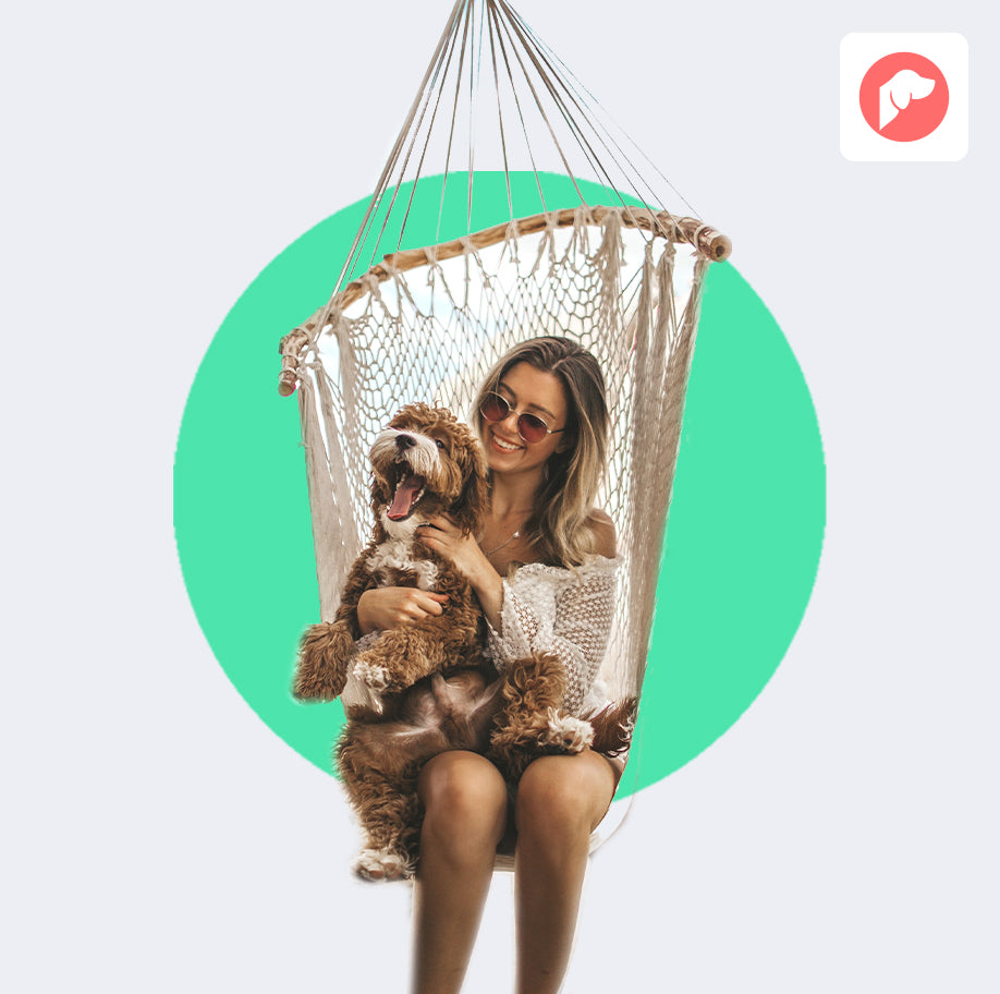 How Much is Too Much: Bully Sticks as Treats