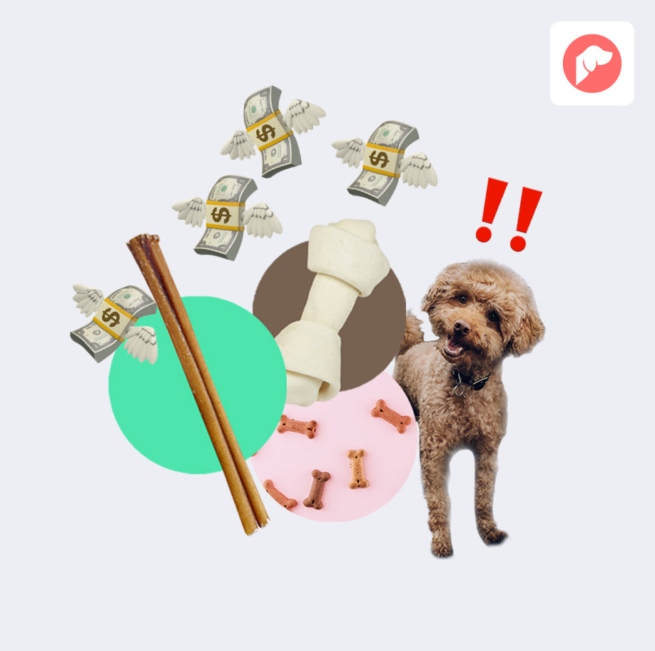 Keeping Your Treat Budget in the Green: Thrifty Dog Treats