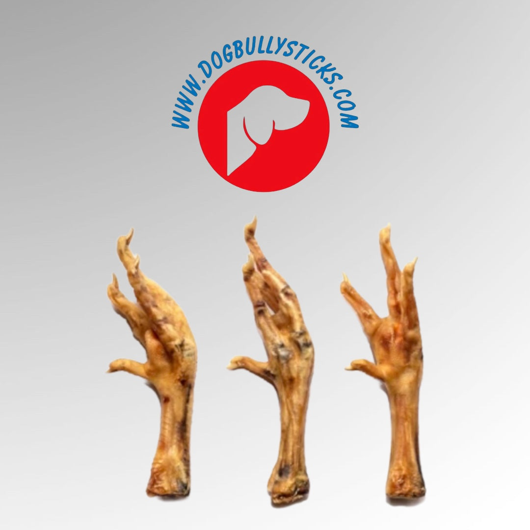 Are Chicken Feet Good For Dogs? 7 Benefits of Raw or Dehydrated Chicken Feet