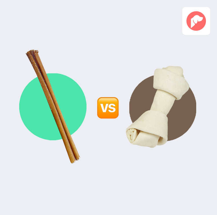 Bully Sticks vs. Rawhide