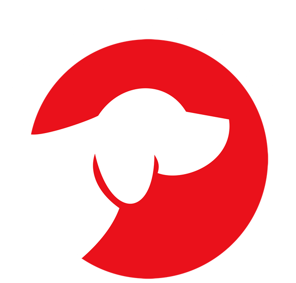DogBullySticks.com