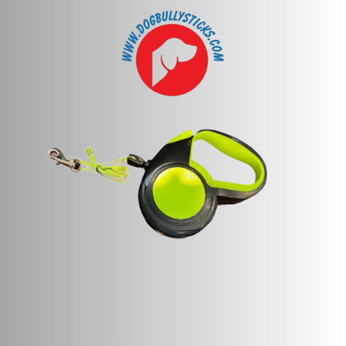 Reflective Leash