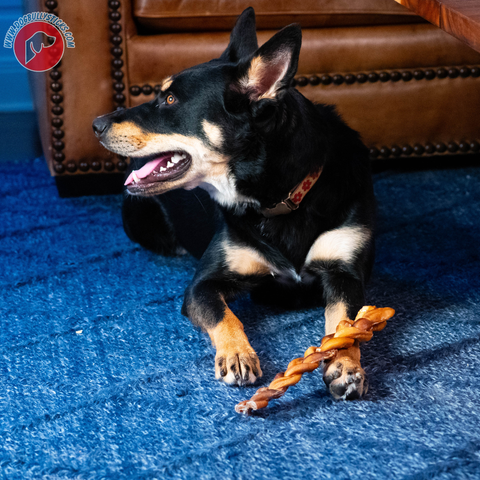 Braided Bully Stick (6” LG)