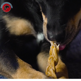 Braided Bully Stick (6" REG)