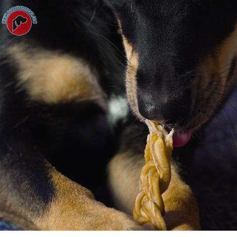 Braided Bully Stick (6" REG)