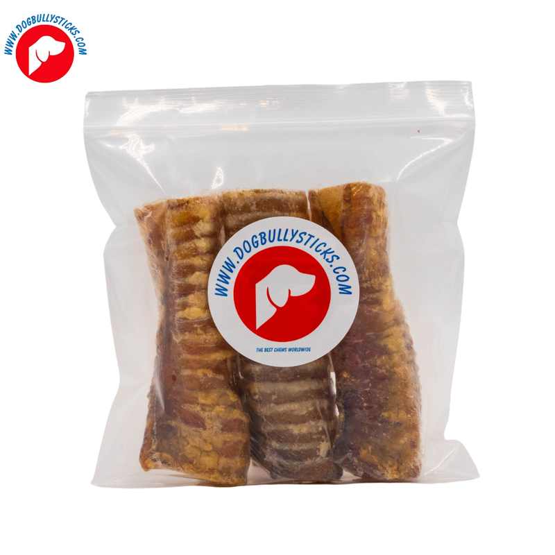 Windpipe Chew (6-Inch / 3 Pack)