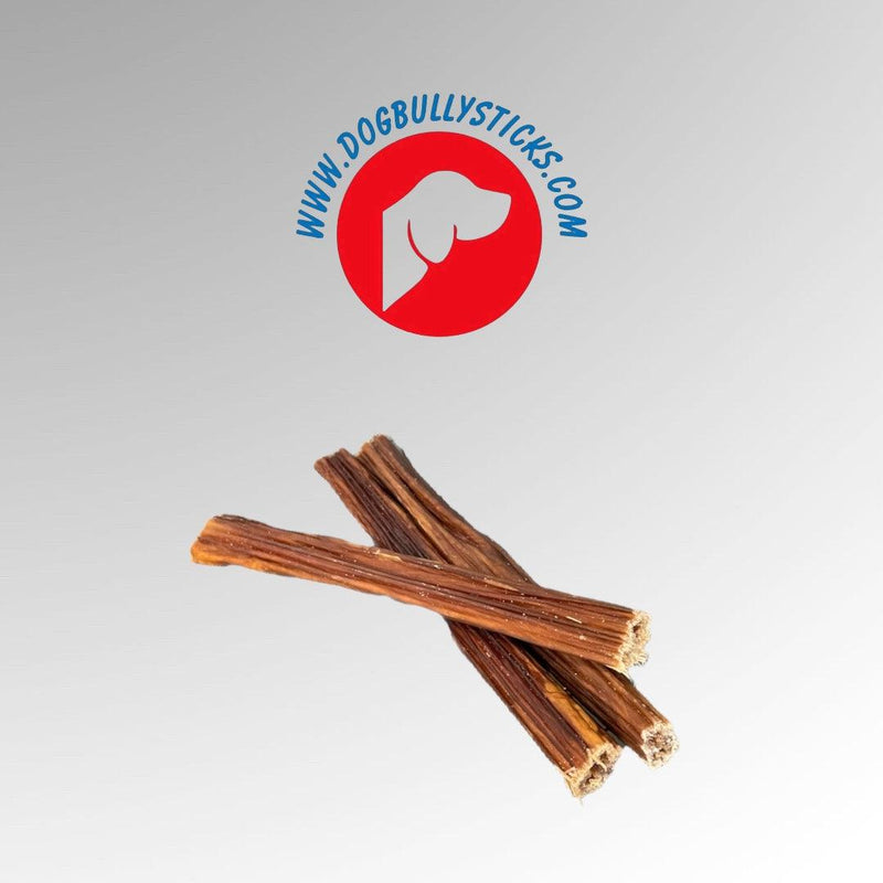 Beef Esophagus 6" - DogBullySticks.com